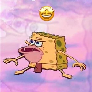 Meet your Posher, Joy